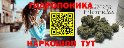 шишки Будённовск